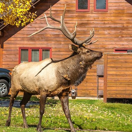Rams Horn Village Resort Estes Park Exterior photo